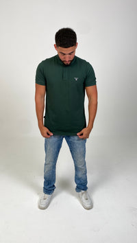 #color_deep-green