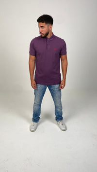 #color_purple